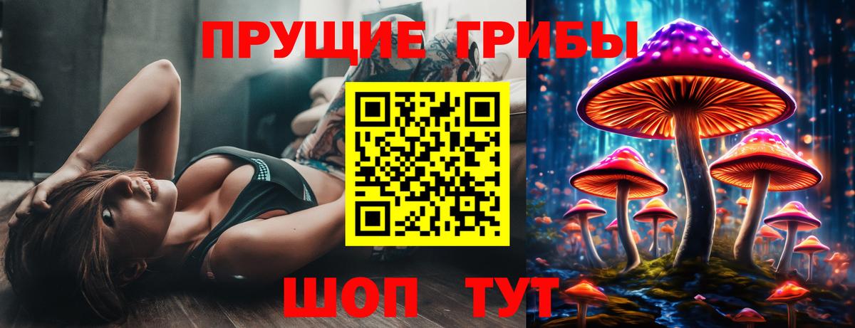 Псилоцибиновые грибы Psilocybe Находка